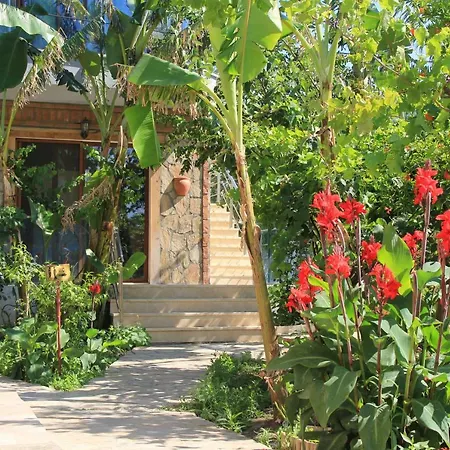 Hotel Hidayetin Yeri 3*