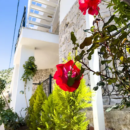 Hidayetin Yeri 酒店 3*