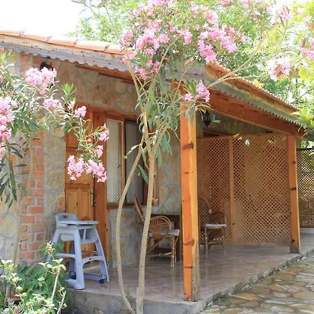 Hidayetin Yeri 塞利米耶